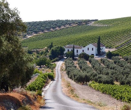 Andalucia cycling