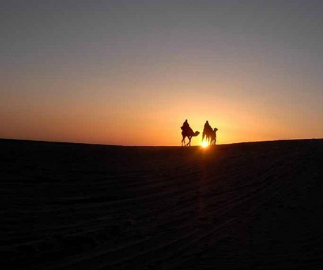 Camel trek, Sahara