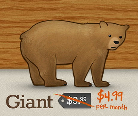 Giant TunnelBear plan