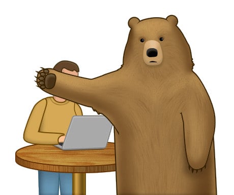 TunnelBear privacy