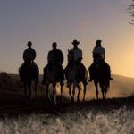 The top 3 horse safaris in South Africa