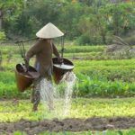 Vietnam - a journey by book