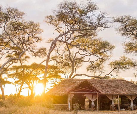 Top 10 new luxury safari camps and lodges