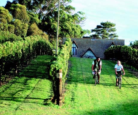 Cycling tours, Marlborough