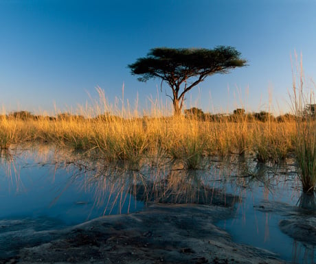 Okavango Delta