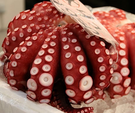Octopus at Tsukiji fish market
