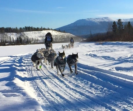 Yukon Quest - still fresh on day 1