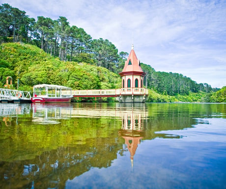 Zealandia - The Karori Sanctuary Experience