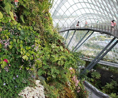 Gardens by the Bay