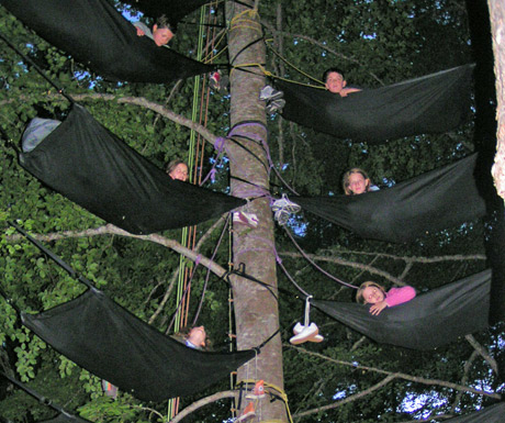 Tree hammocks
