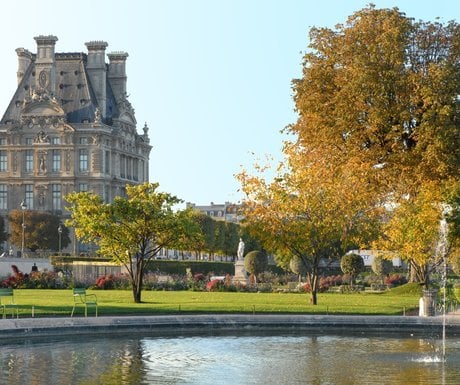 Je jardin des Tuileries et le pavillon de Flore (Paris)