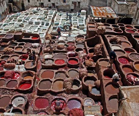 Marrakech tannery