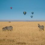 Some of the best luxury flying experiences in Africa