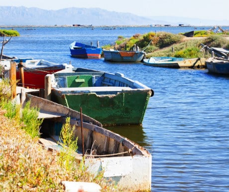 Delta Ebro river boats