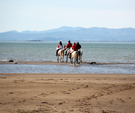 Horse Riding in the Delta de l-Ebre