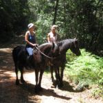 Black Horse Trails