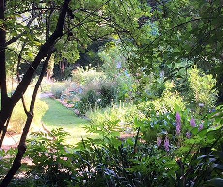 Inside the Orto Botanico di Brera