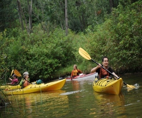 Kayaking in Thousand Islands