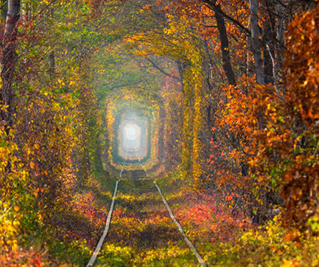Tunnel Of Love Kleven