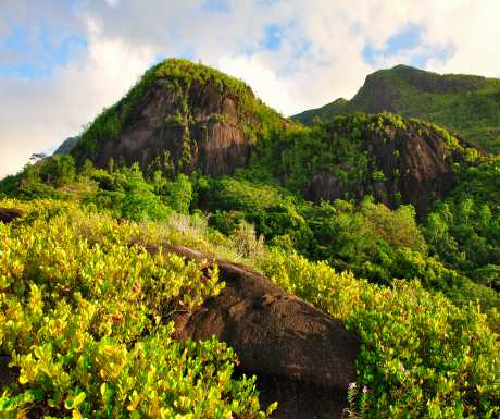 Anse Major Trail Seychelles
