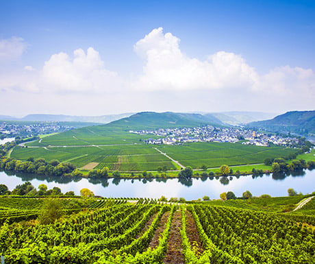 Moselle Valley