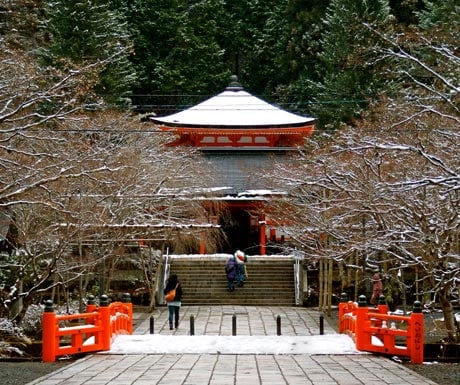 Stay at a traditional temple lodgings and meditate under the guidance of a head priest in Mount Koya