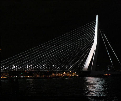 Erasmus Bridge at night
