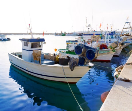 Javea Fishing Harbour Spain