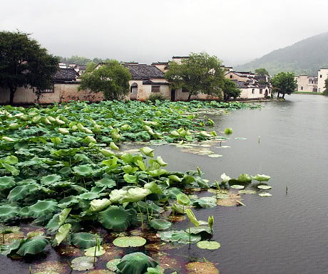 Hongcun