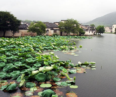 Hongcun