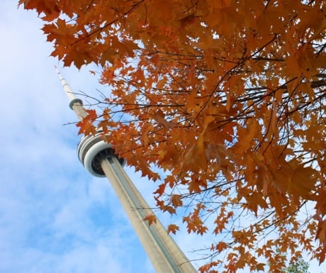 5 Can't miss Toronto experiences - CN Tower Live Toronto Tour