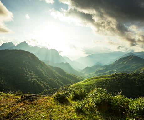 Cat-Tien-National-Park