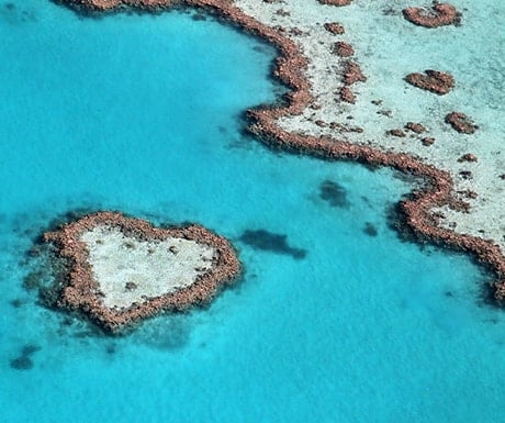 Heart Reef