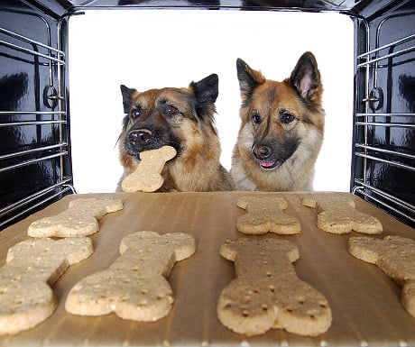 Dog biscuits