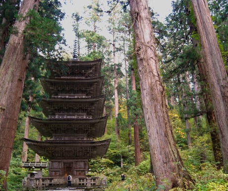 Mount-Haguro's-forest-pagoda