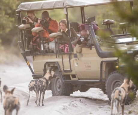 Wild Dogs - Letaka Mobile Safari - Khwai Community Area