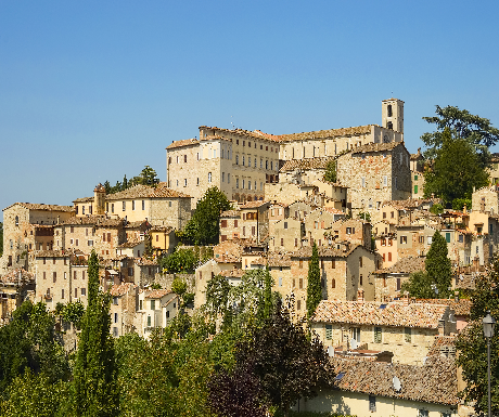 day trip todi