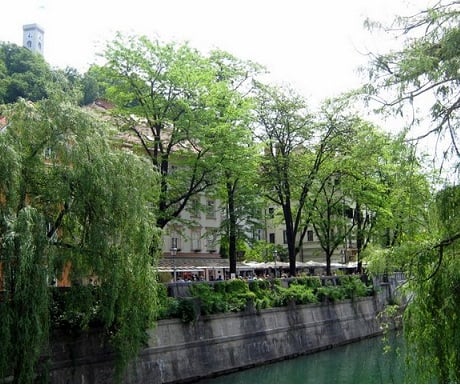 Ljubljanica river Slovenia