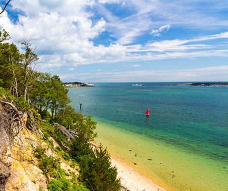 Brownsea Island Poole