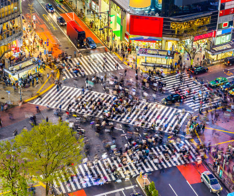 View of Shibuya Crossing, Tokyo