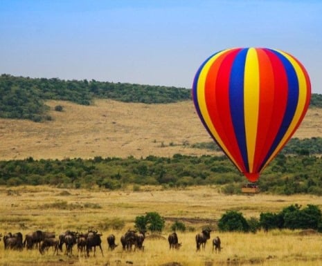 Ballooning over the Masai Mara from Governors Camp