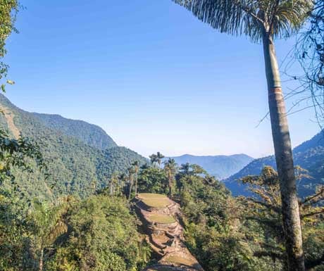 Colombia's Lost City