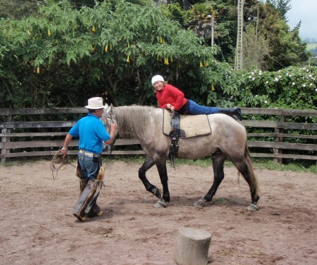 Horseback riding clinic