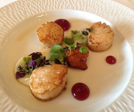 Scallops