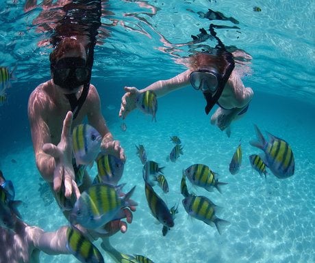 Snorkel Mexico Rocks