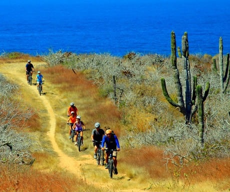 Mountain Bike Tours with Cabo Adventures