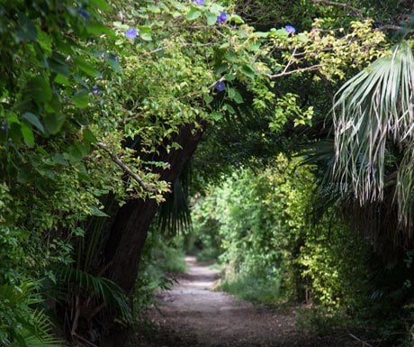 railway trail