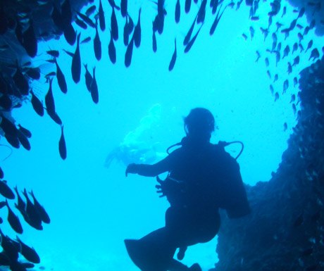 Diving in Okinawa