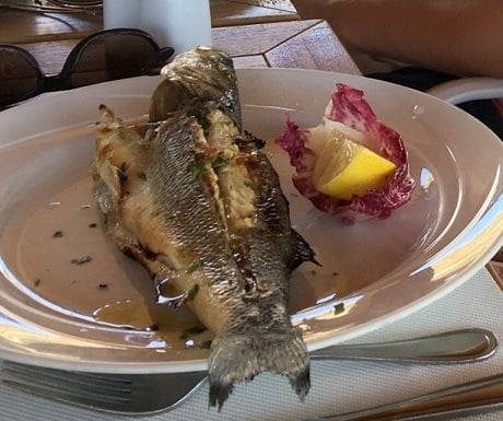 Sea bass on the table, Malta