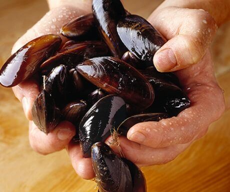 Seafood in Ireland